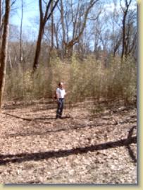 M4100892 * Good Spring Loop Trail * 2272 x 1704 * (628KB)