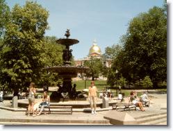 M4102372 * Boston Common+State House (so zlatou strechou) * 2272 x 1704 * (963KB)